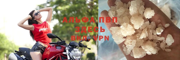 индика Магадан