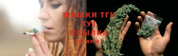 винт Магас
