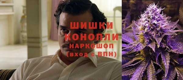 винт Магас