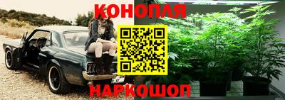 прущая мука Краснокаменск