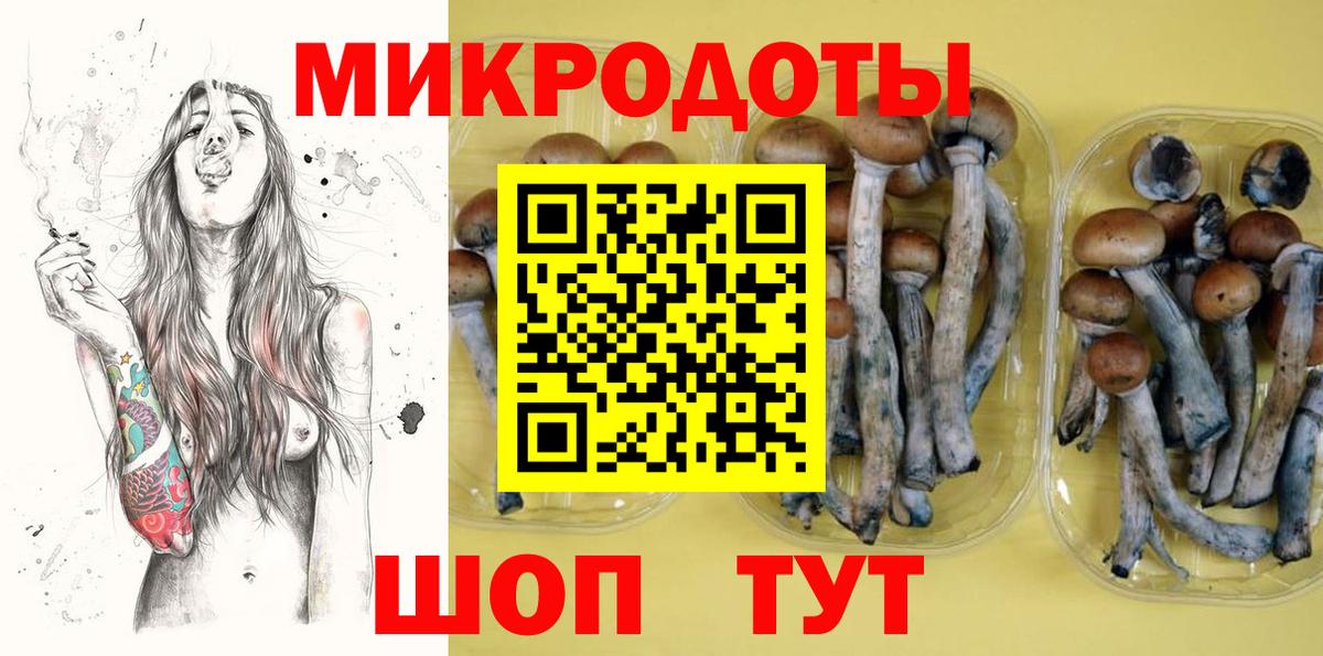 Псилоцибиновые грибы мицелий Шумерля