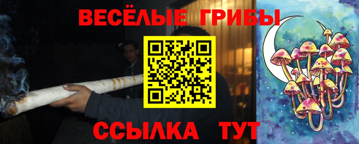Шумерля  Псилоцибиновые грибы мухоморы  Вход с VPN  Псилоцибиновые грибы прущие грибы 