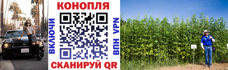 Марихуана Amnesia  наркотики  сайты даркнета какой сайт  Шумерля 