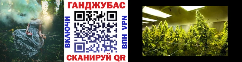 Бошки Шишки Amnesia Шумерля